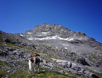 H Ttentour In Den Ortler Alpen Tage Etappen Wandern