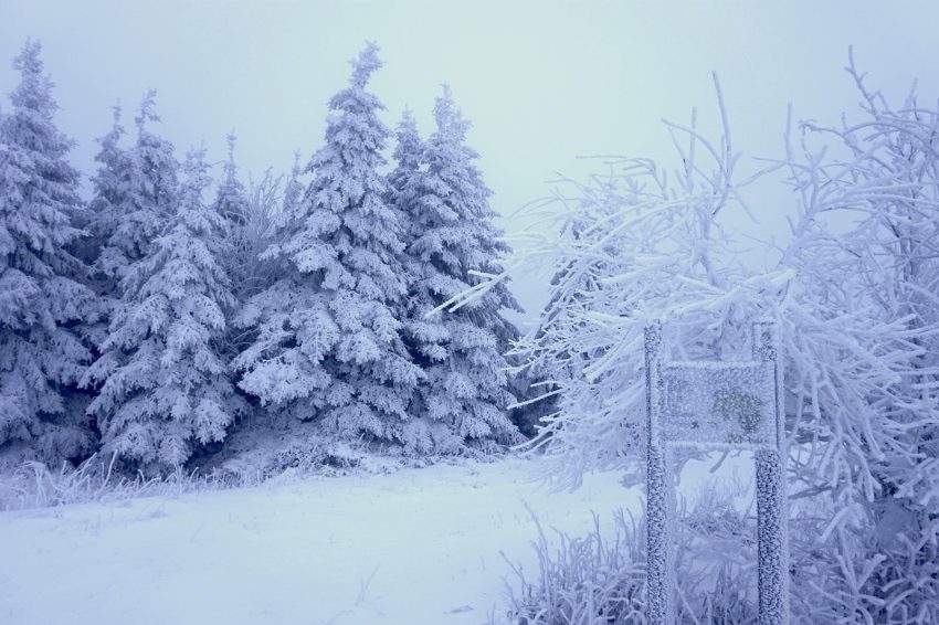 Von Braunlage Zum Brocken Winterwandern Im Harz Etappen Wandern