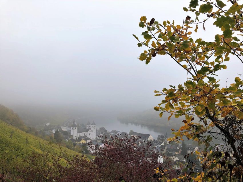 Moselsteig - Wandern In Deutschland - Fernwanderweg