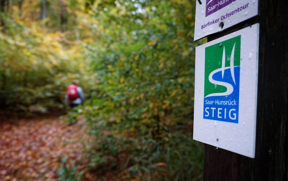 Saar-Hunsrück-Steig - Etappen-Wandern