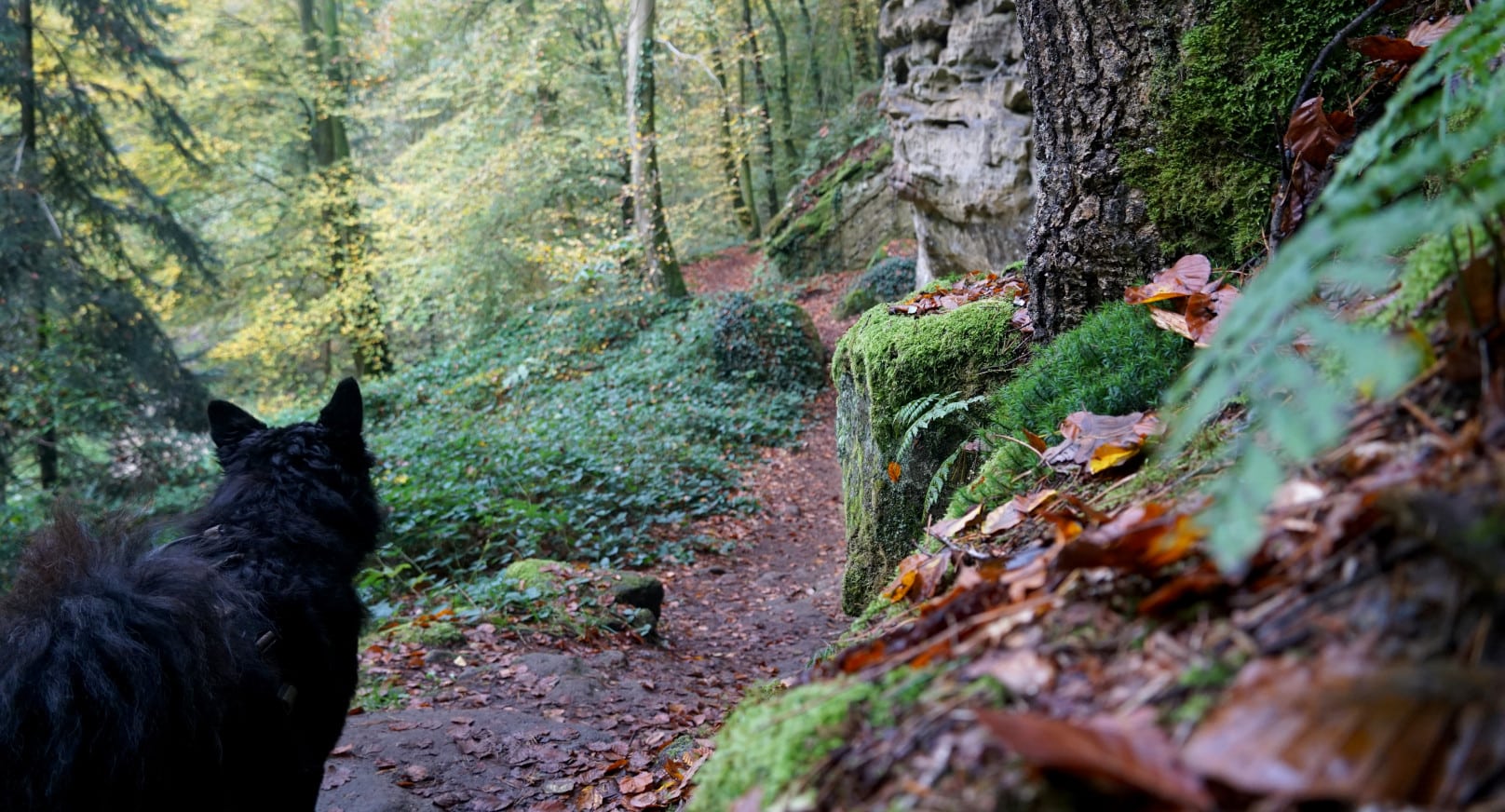 Mehrtagestour Luxemburg